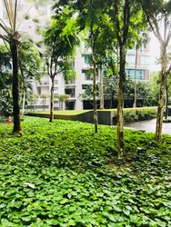 One-north Residences (D5), Apartment #174719172